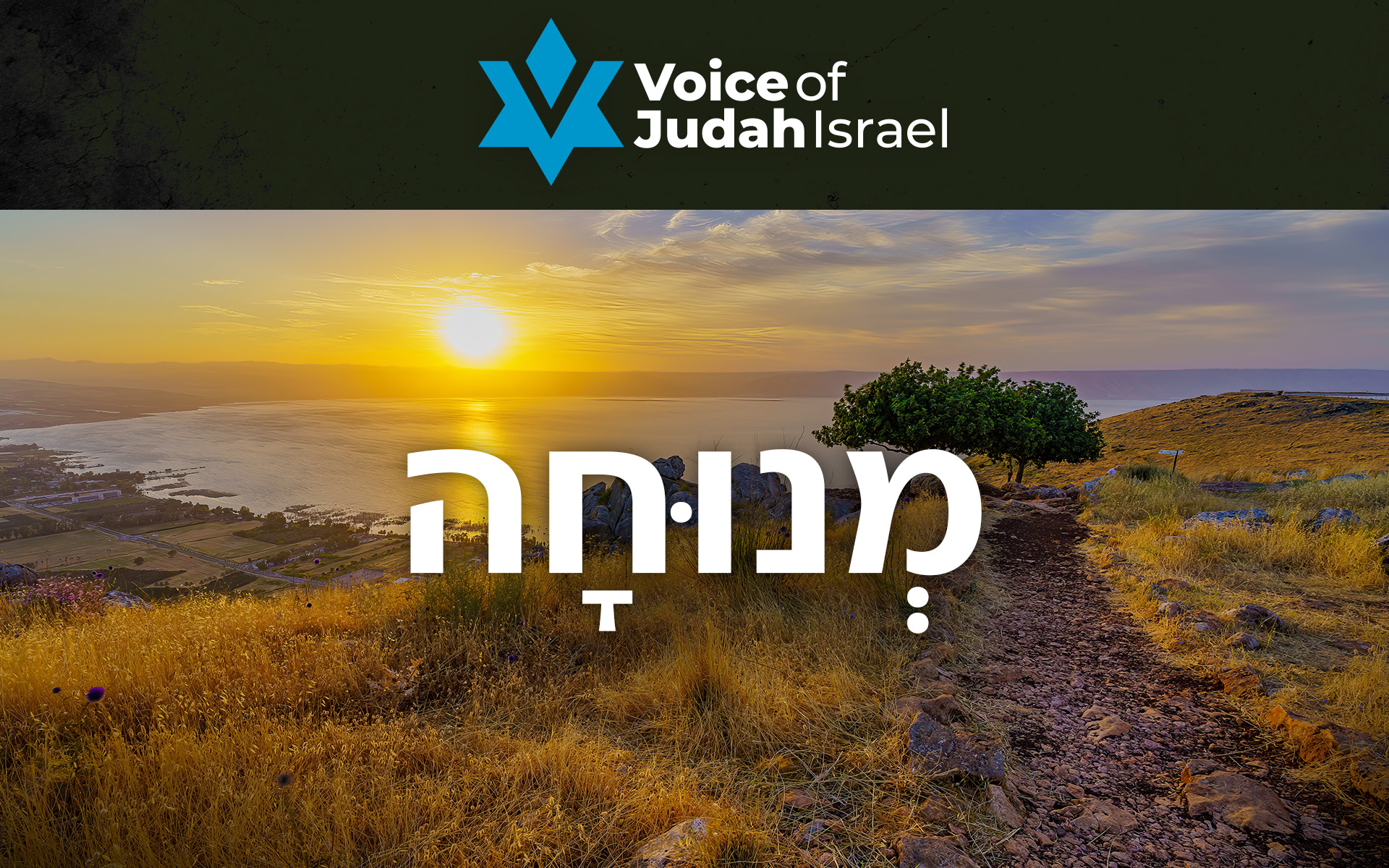 Hebrew Word of the Week <br>Menuchah (מְנוּחָה) – Finding Rest for Your Soul