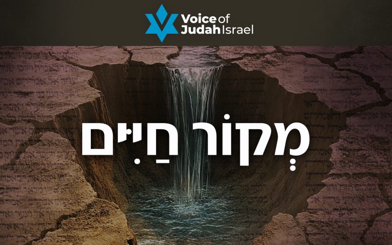 Hebrew Word of the Week &mdash; Makor Chayim (מְקוֹר חַיִּים) &mdash; Fountain of Life